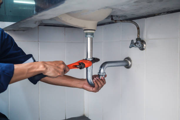 Best Plumbing Inspection Services  in Homer City, PA